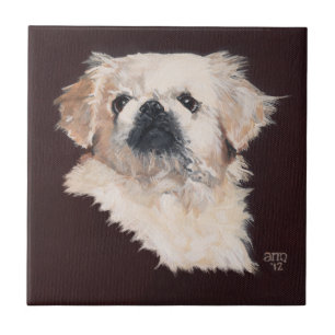 Vit Pekingeser Hund Kakelplatta