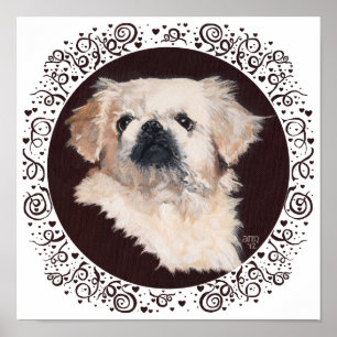 Vit Pekingeserhuvudstudie Poster