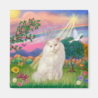 Vit persisk katt - Cloud Angel Magnet