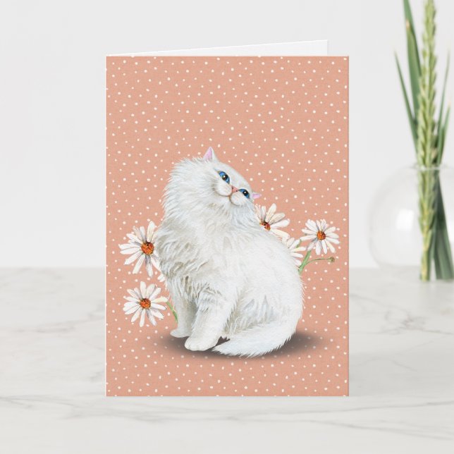 vit persisk katt med daisy Card Kort (Framsida)