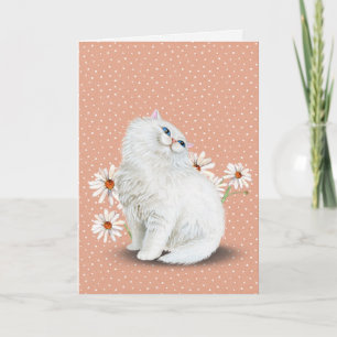 vit persisk katt med daisy Card Kort