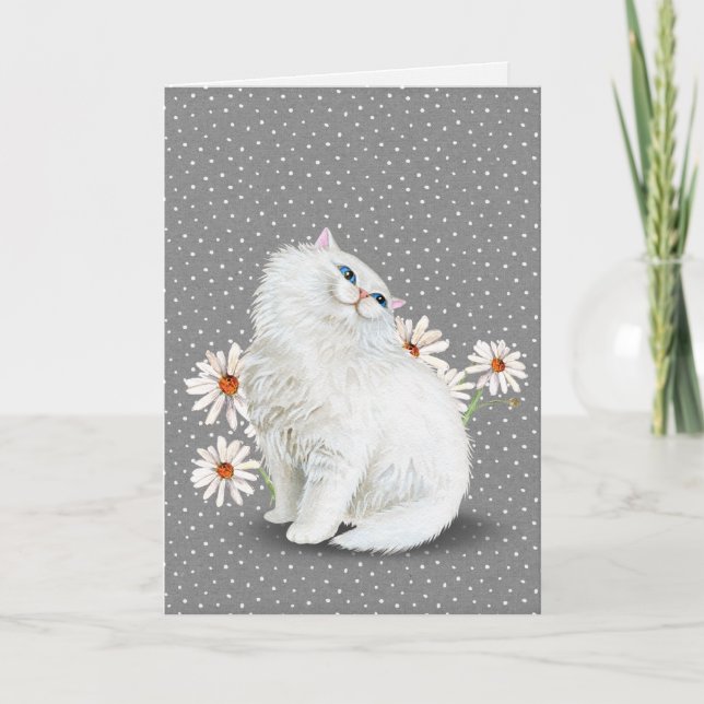 vit persisk katt med daisy Card Kort (Framsida)