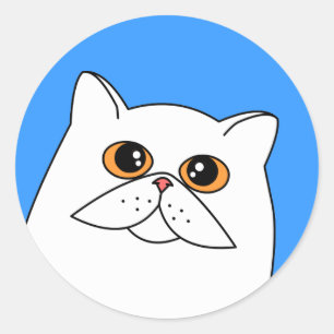 Vit persisk katt med Orange Ögon Stickers Runt Klistermärke