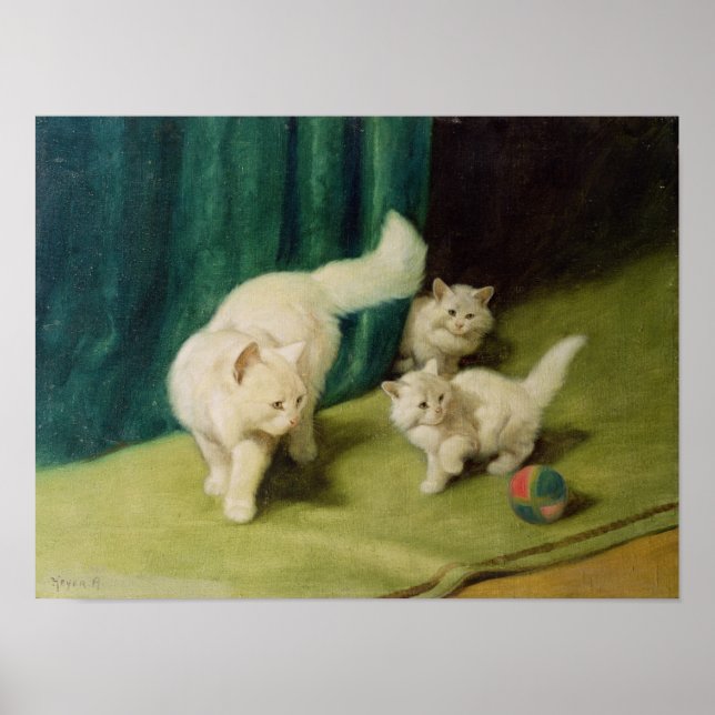 Vit persisk katt med två kittens poster (Framsidan)