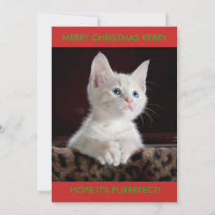 VIT PERSONLIG KATTUNGE JULKORT
