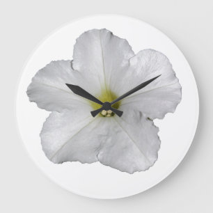 Vit Petunia Blomma Blommig Jul Dekoration Söt Stor Klocka