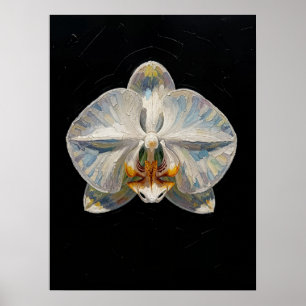 Vit Phalaenopsis-Orkidé Fin Konsttryck, Mörkt Poster