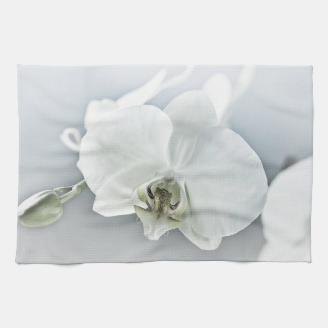 Vit Phalaenopsis Orkidé Kökshandduk (Horisontell)