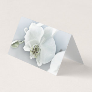 Vit Phalaenopsis Orkidé Kort