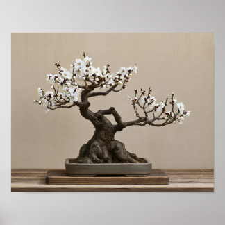 Vit Plommon Bonsai Konsttryck | Japansk Väggkonst