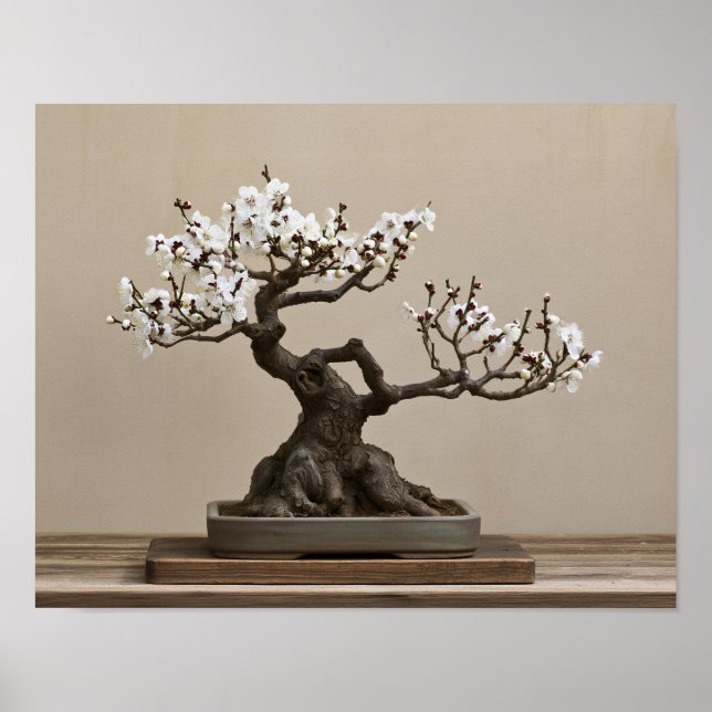 Vit Plommon Bonsai Konsttryck | Japansk Väggkonst (Framsidan)