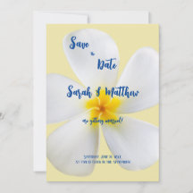 Vit Plumeria på gult, tropiskt, blommande bröllop