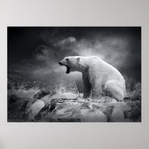 Vit Polar Bear Hunter på isen i vatten Poster