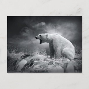 Vit Polar Bear Hunter på isen i vatten Vykort