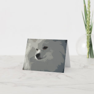 Vit Pomeranian noterar kort