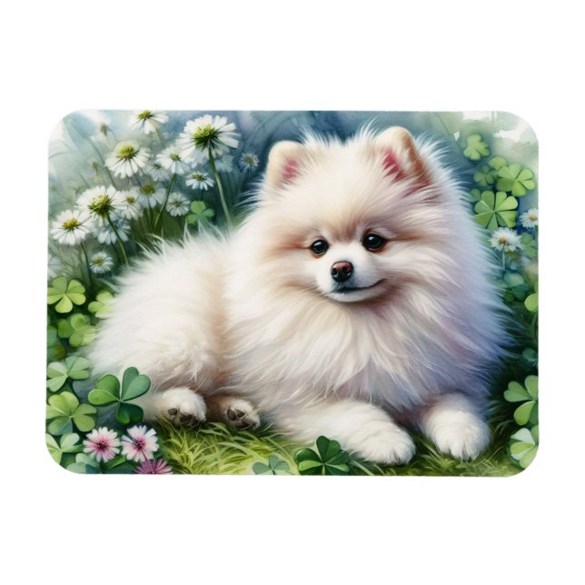 Vit Pommern Hund Watercolor Klöver Flexible Magnet (Horisontell)