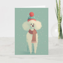 Vit Poodle Hölsning