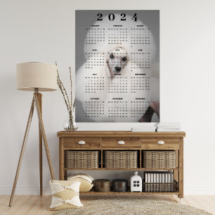 Vit Poodle Hund Snygg Frisyr Foto 2024 Kalender Poster