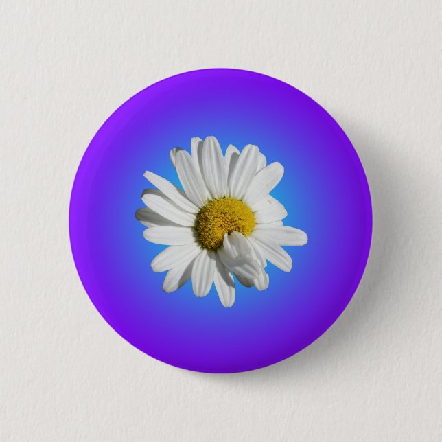 Vit Prästkrage Blomma Blommig Lila Blå Färgövergån Knapp (Framsida)