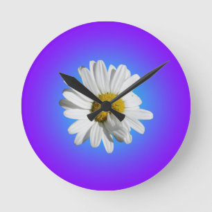 Vit Prästkrage Blomma Blommig Lila Blå Färgövergån Rund Klocka