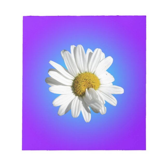 Vit Prästkrage Blomma Blommig Lila Blå Gradient Anteckningsblock (Framsida)