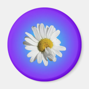 Vit Prästkrage Blomma Blommig Lila Blå Gradient Magnet