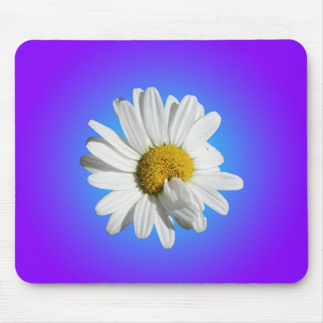 Vit Prästkrage Blomma Blommig Lila Blå Gradient Musmatta (Framsidan)