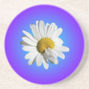 Vit Prästkrage Blomma Blommig Lila Blå Gradient Underlägg