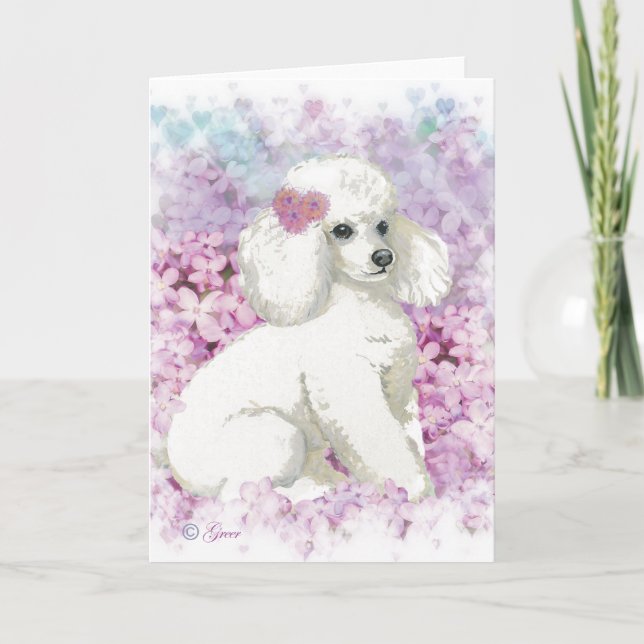 Vit Pudel i Lilacs Art Print Card Kort (Framsida)