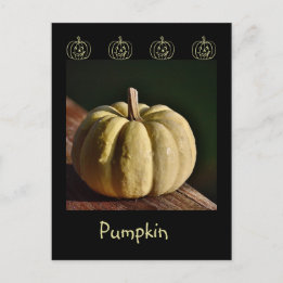 Vit Pumpkin Mini Gourd Fall-vykort Vykort