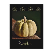 Vit Pumpkin Mini Gourd Fall-vykort