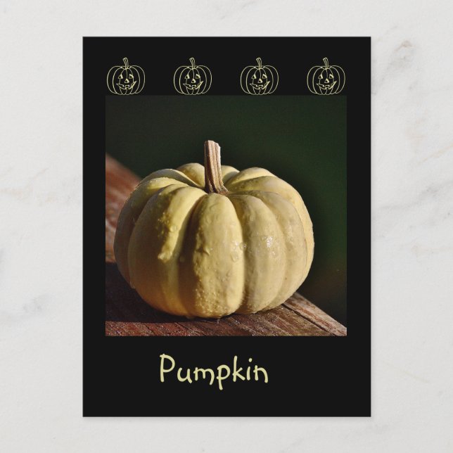 Vit Pumpkin Mini Gourd Fall-vykort Vykort (Framsida)