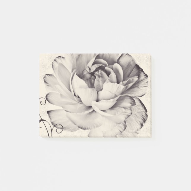 Vit Ranunculus Flower Black-bakgrund Post-it Block (Framsida)
