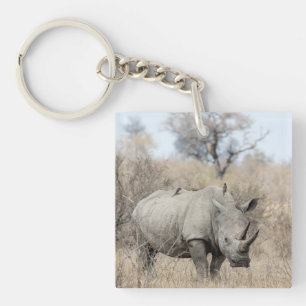 Vit Rhino