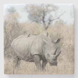 Vit Rhino Stenunderlägg