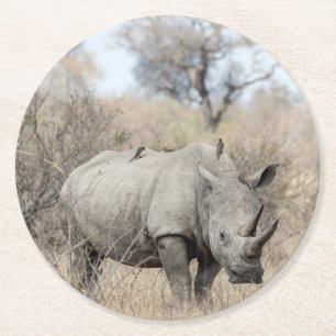 Vit Rhino Underlägg Papper Rund