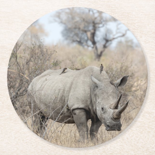 Vit Rhino Underlägg Papper Rund (Framsidan)