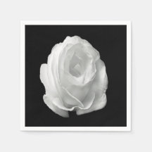 vit-ro-på-svart-bakgrund