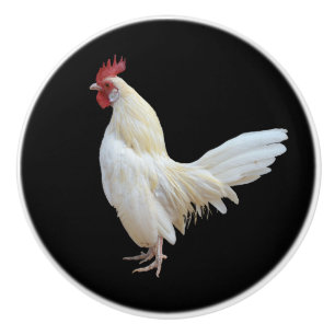 VIT ROOSTER* KNOPP