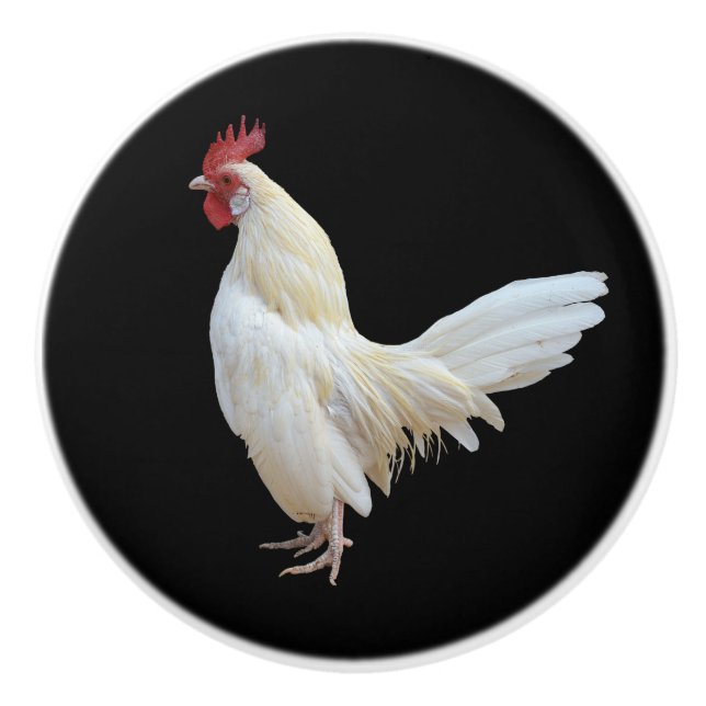 VIT ROOSTER* KNOPP (Framsidan)