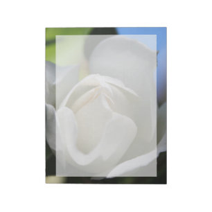 Vit ros blomma. Floral-fotografi. Anteckningsblock