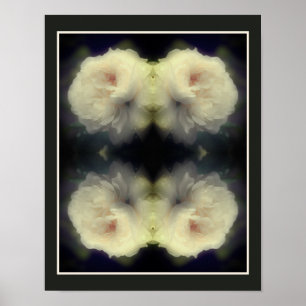 Vit ros blomma in Fullt Bloom Abstrakt Poster