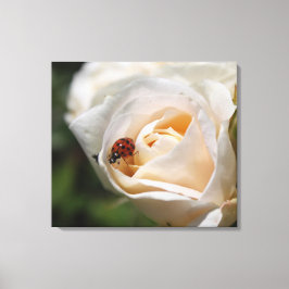 vit ros blomma och nyckelpiga. blommigt canvastryck