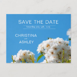 Vit ros blommigt meddelande vykort