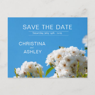 Vit ros blommigt meddelande vykort