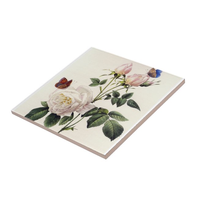 vit ros blommor, Pierre Joseph Redouté Kakelplatta (Sidan)