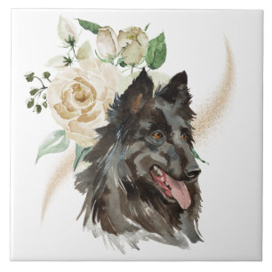 Vit ros Bouquet Belgium Tervuren Hund Kakelplatta