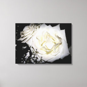 Vit ros Canvas