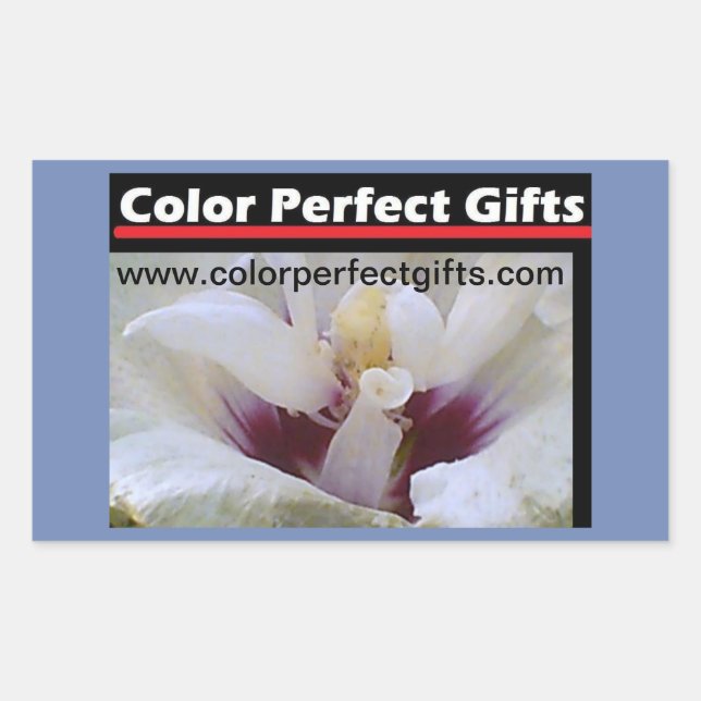 Vit ros Demonstation Rektangulärt Klistermärke (Framsida)