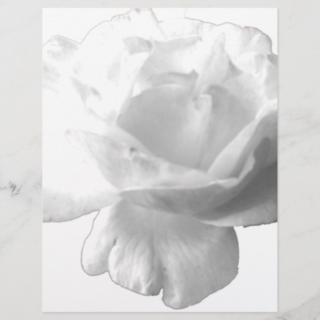 Vit ros Design (Framsida)